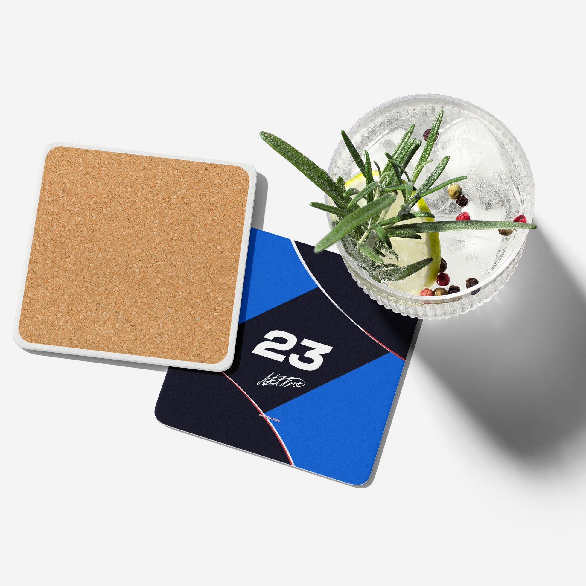 Williams F1 2024 – Coaster