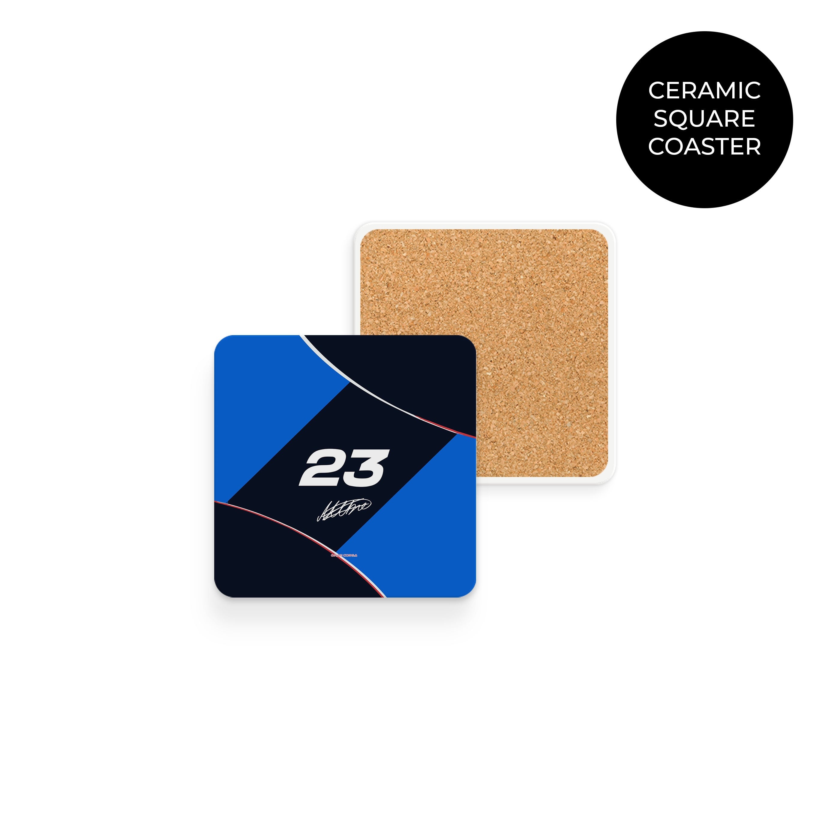 Williams F1 2024 – Coaster