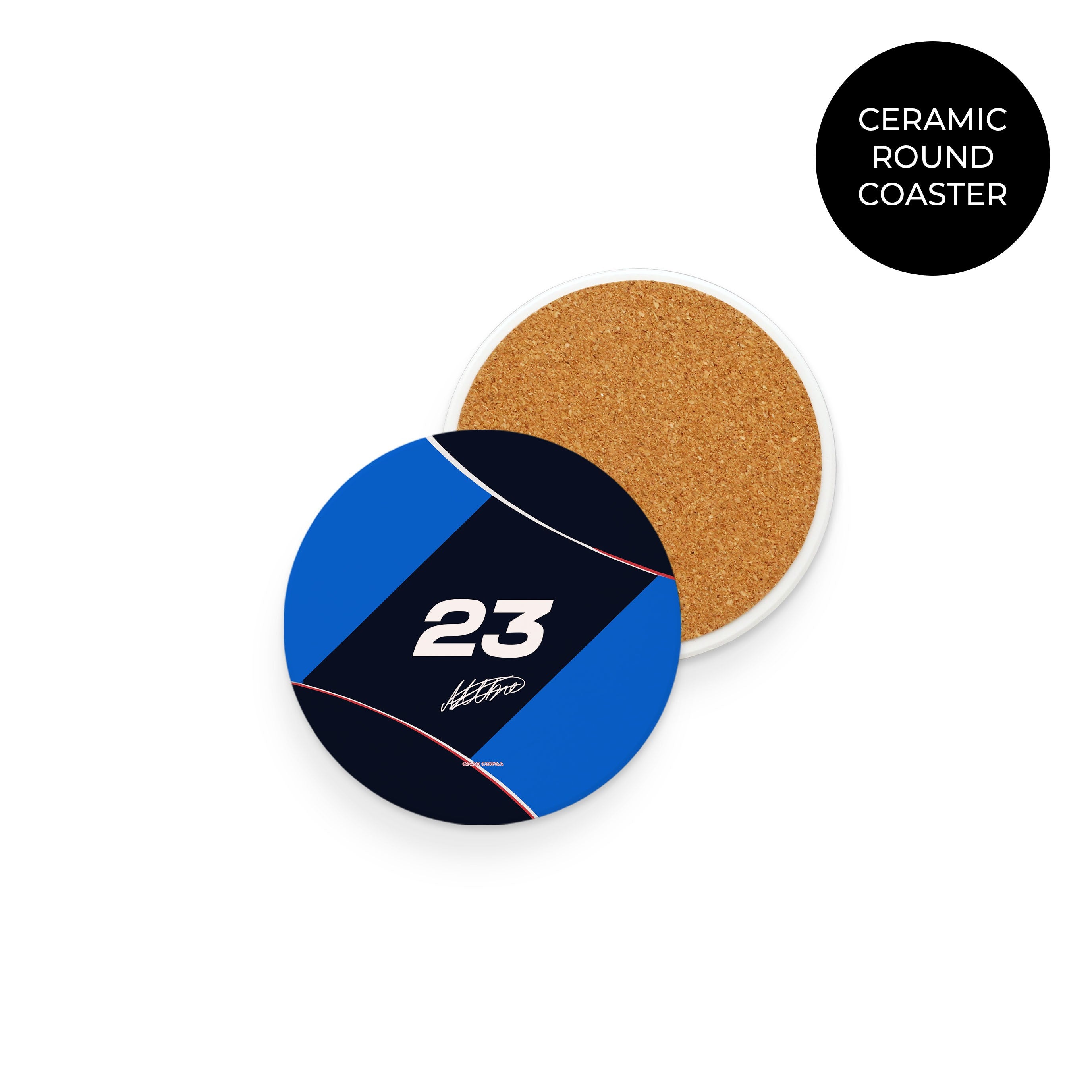 Williams F1 2024 – Coaster